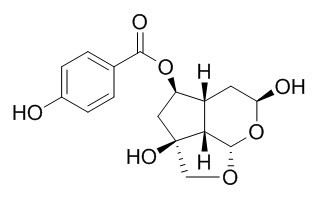 梓甙,分析标准品,HPLC≥95%