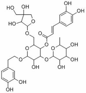 连翘酯苷B，分析标准品,HPLC≥98%