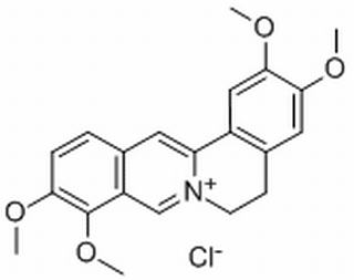 盐酸巴马汀，分析标准品,HPLC≥98%