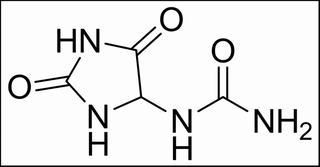 尿囊素，分析标准品,HPLC≥98%