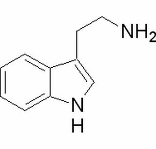 色胺，分析标准品,HPLC≥98%