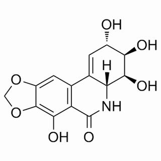 水仙环素，分析标准品,HPLC≥98%