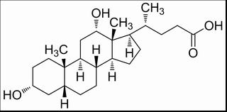 去氧胆酸，分析标准品,HPLC≥98%