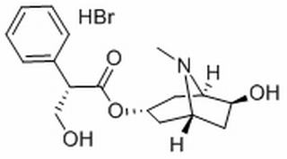 氢溴酸山莨菪碱，分析标准品,UV≥95%