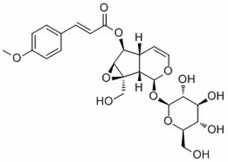 6-O-p-Methoxycinnamoylcatalpol，分析标准品,HPLC≥98%