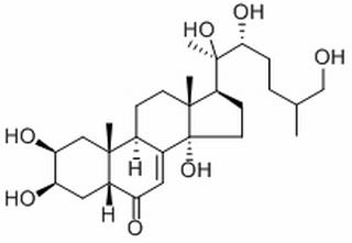牛膝甾酮，分析标准品,HPLC≥98%