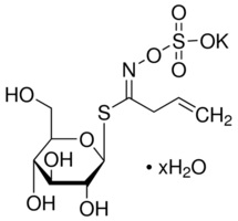 黑介子苷，分析标准品,purity≥98%