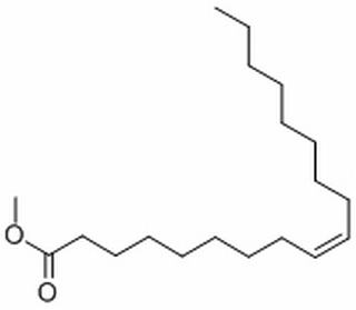 油酸甲酯，分析标准品,GC≥98%