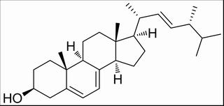 麦角甾醇，分析标准品,HPLC≥98%