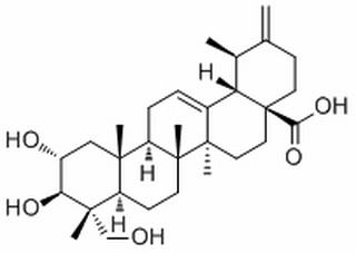 Actinidic acid，分析标准品,HPLC≥98%