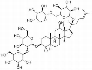 人参皂苷Rb2，分析标准品,HPLC≥98%