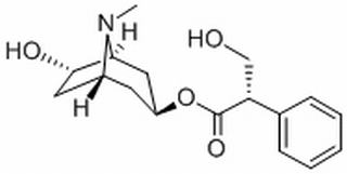 消旋山莨菪碱，分析标准品,HPLC≥98%