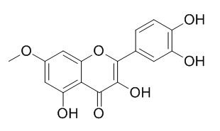 beta-鼠李素,分析标准品,HPLC≥98%