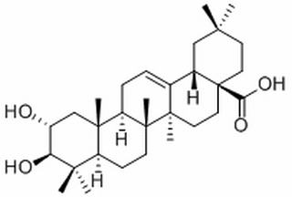 山楂酸，分析标准品,HPLC≥98%