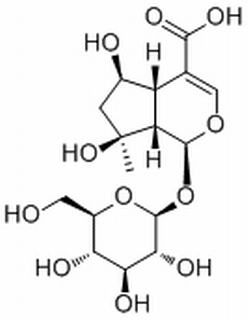 山栀苷，分析标准品,HPLC≥95%