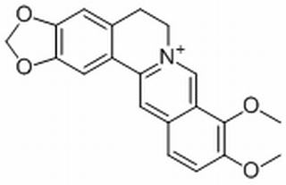 小檗碱，分析标准品,HPLC≥98%