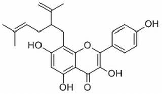 8-Lavandulylkaempferol，分析标准品,HPLC≥98%