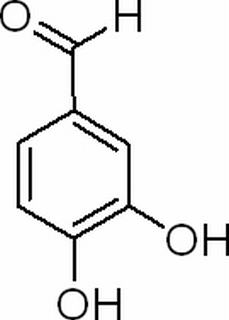 原儿茶醛，分析标准品,HPLC≥98%