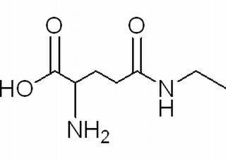 L-茶氨酸，分析标准品,HPLC≥98%