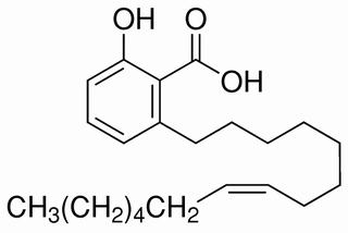 白果酸（银杏酸C15:1），分析标准品,HPLC≥98%