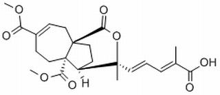 土荆皮乙酸，分析标准品,HPLC≥98%