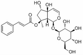 6-Epiharpagoside，分析标准品,HPLC≥98%