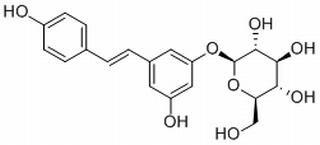 虎杖苷，分析标准品,HPLC≥98%