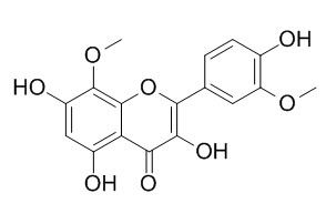 柠檬黄素,分析标准品,HPLC≥95%