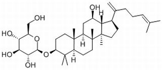 人参皂苷Rk2，分析标准品,HPLC≥98%