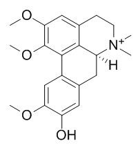 竹叶椒碱，分析标准品,HPLC≥95%