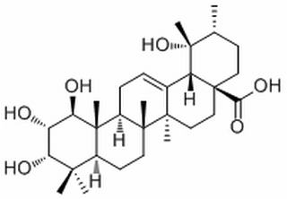 1β-Hydroxyeuscaphic acid，分析标准品,HPLC≥98%