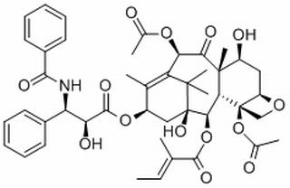 异三尖杉宁碱，分析标准品,HPLC≥98%