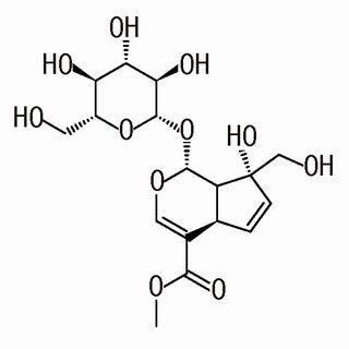 山栀子苷B，分析标准品,HPLC≥98%