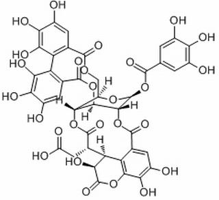 诃子鞣酸，分析标准品,HPLC≥98%