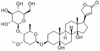 杠柳毒苷,分析标准品,HPLC≥98%