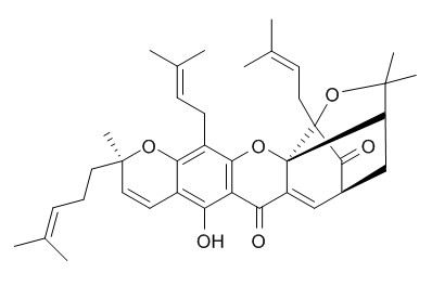 Gambogin,分析标准品,HPLC≥95%