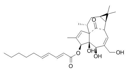 3-O-(2'E,4'E-癸二烯酰基)巨大戟二萜醇,分析标准品,HPLC≥95%