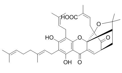 新藤黄酸，分析标准品,HPLC≥98%