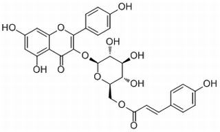 银椴苷，分析标准品,HPLC≥98%