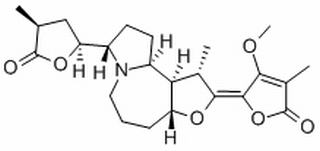 原百部碱，分析标准品,HPLC≥98%