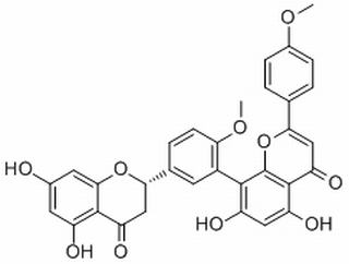 2,3-Dihydroisoginkgetin，分析标准品,HPLC≥98%