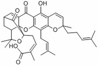 藤黄酸，分析标准品,HPLC≥98%