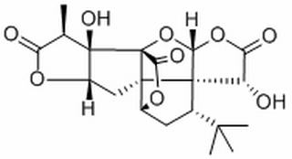 银杏内酯A，分析标准品,HPLC≥98%