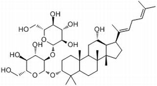 人参皂苷Rg5，分析标准品,HPLC≥98%