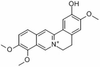 非洲防己碱，分析标准品,HPLC≥98%