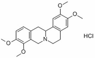 延胡索乙素，分析标准品,HPLC≥98%