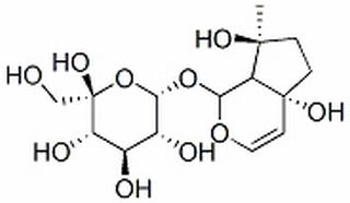 哈巴苷,分析标准品,HPLC≥98%