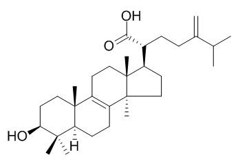 齿孔酸; 齿孔菌酸，分析标准品,HPLC≥96.5%