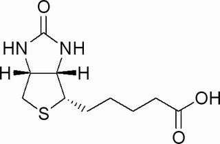 D-生物素，分析标准品,HPLC≥98%