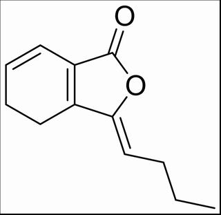 蒿本内酯，分析标准品,HPLC≥98%